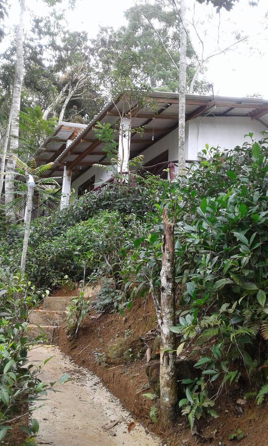 Hotel Mountain Nest à Ella Extérieur photo